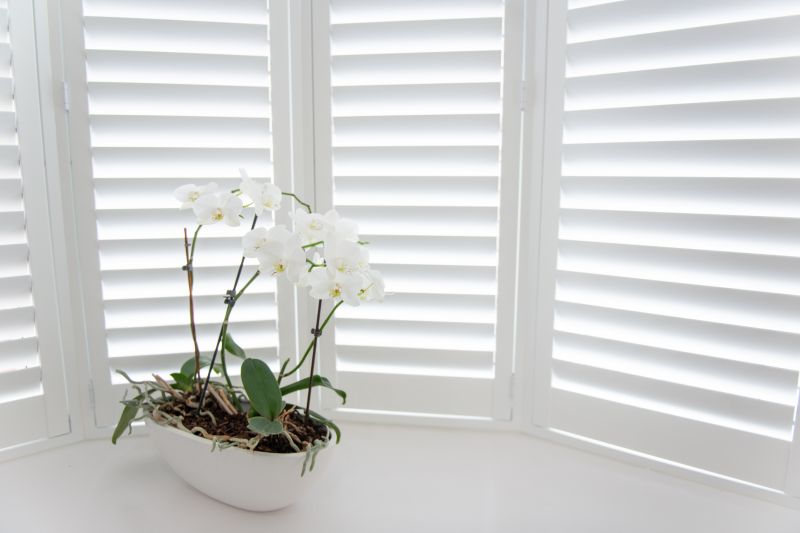 Shutters Installation in Longmont, CO