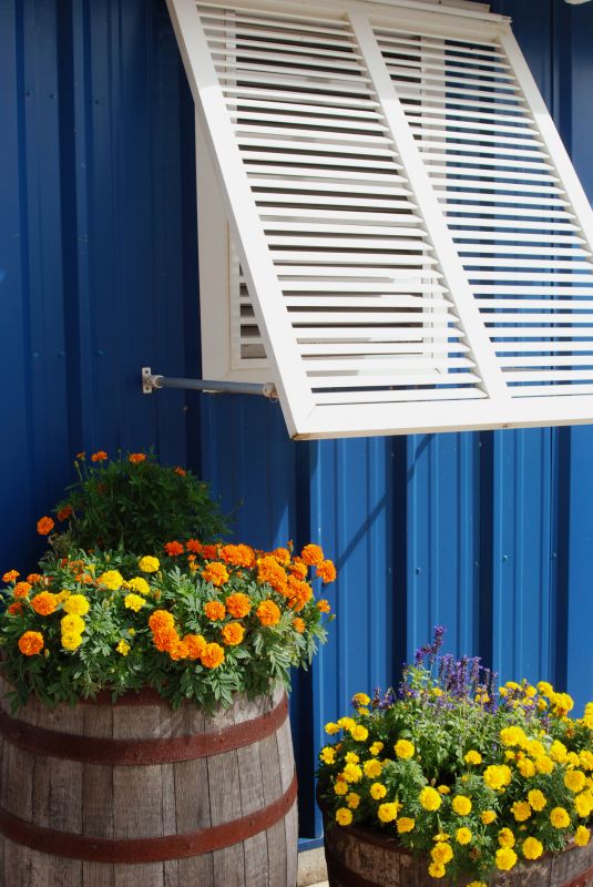 Shutters Replacement in Arvada, CO
